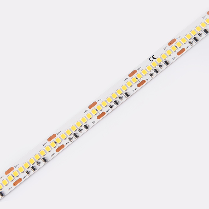 DS8256-24V-12mm